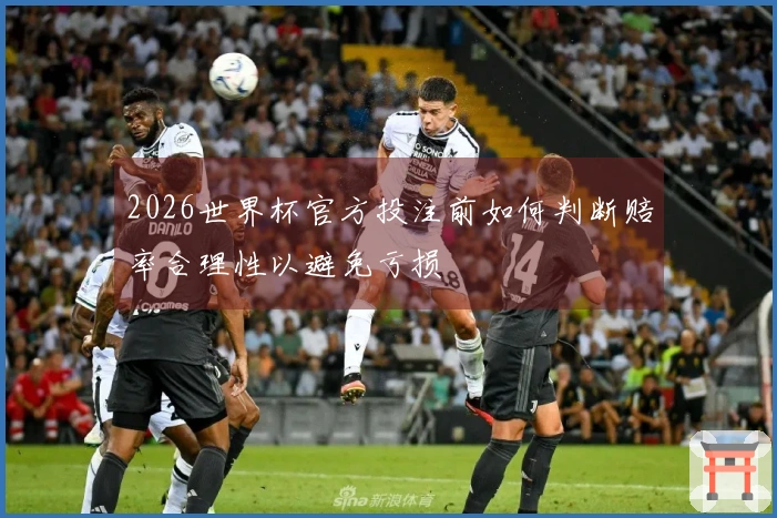 2026世界杯官方投注前如何判断赔率合理性以避免亏损
