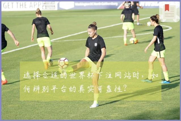 选择合适的世界杯下注网站时，如何辨别平台的真实可靠性？