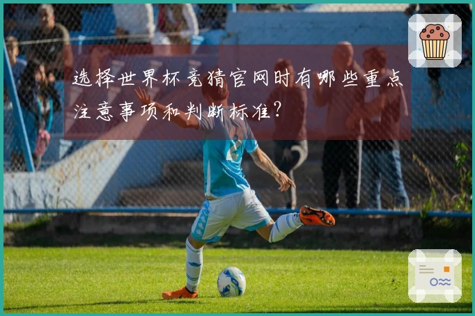 选择世界杯竞猜官网时有哪些重点注意事项和判断标准？