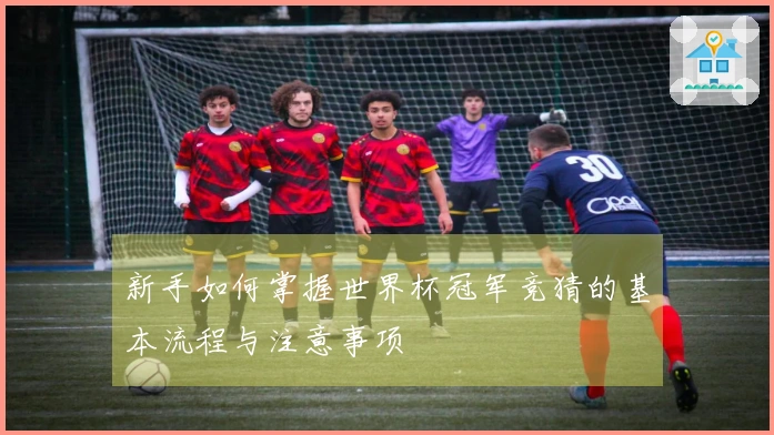 新手如何掌握世界杯冠军竞猜的基本流程与注意事项