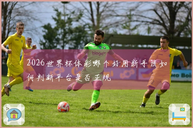 2026世界杯体彩哪个好用新手该如何判断平台是否正规