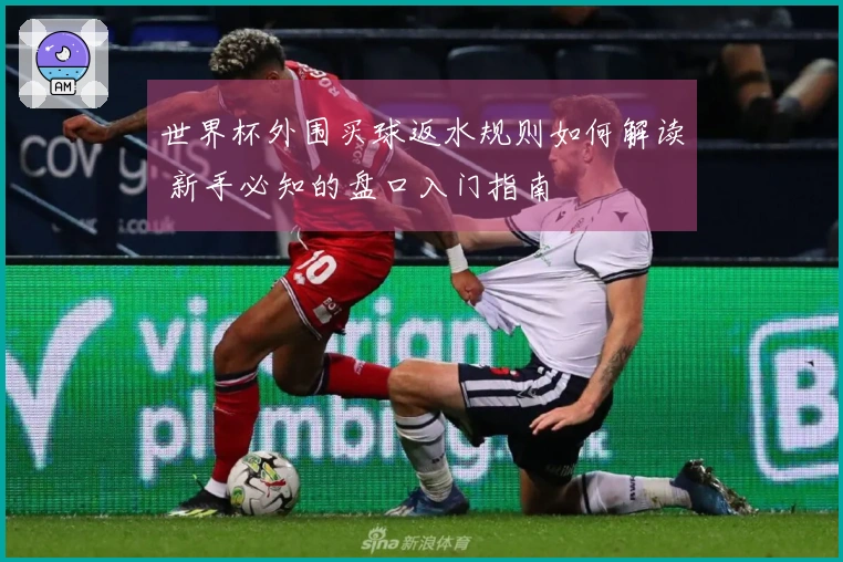 世界杯外围买球返水规则如何解读 新手必知的盘口入门指南