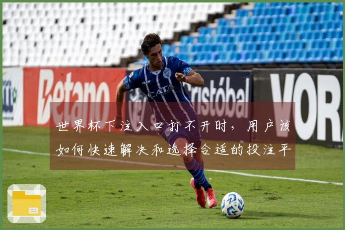 世界杯下注入口打不开时，用户该如何快速解决和选择合适的投注平台？