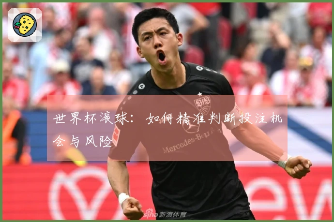 世界杯滚球：如何精准判断投注机会与风险