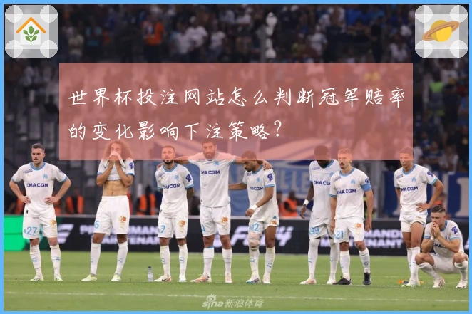 世界杯投注网站怎么判断冠军赔率的变化影响下注策略?