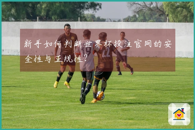 新手如何判断世界杯投注官网的安全性与正规性？