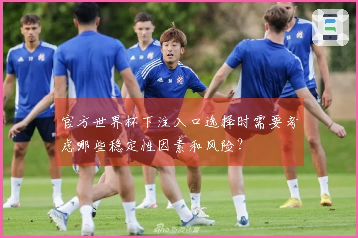 官方世界杯下注入口选择时需要考虑哪些稳定性因素和风险？
