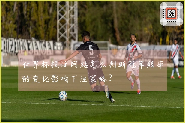 世界杯投注网站怎么判断冠军赔率的变化影响下注策略？