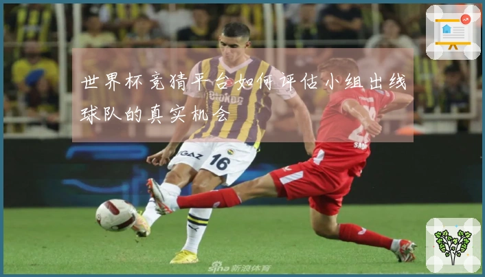 世界杯竞猜平台如何评估小组出线球队的真实机会