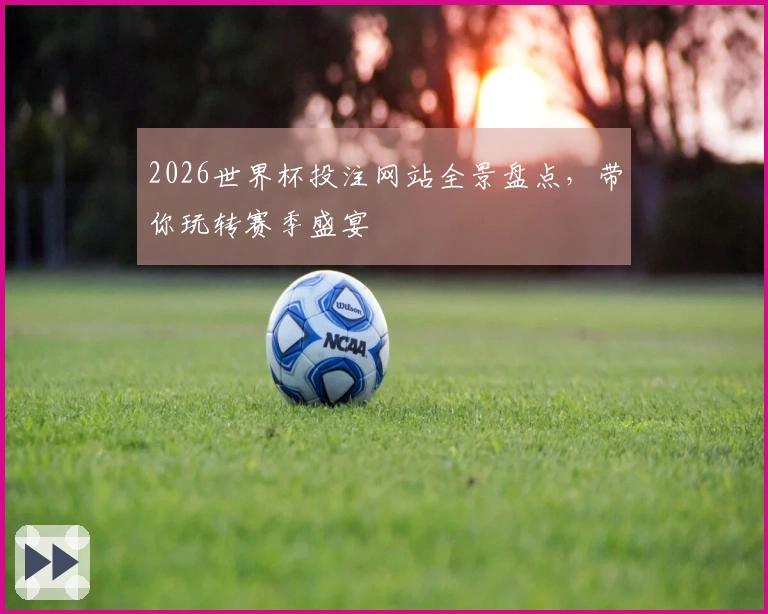 2026世界杯投注网站全景盘点，带你玩转赛季盛宴