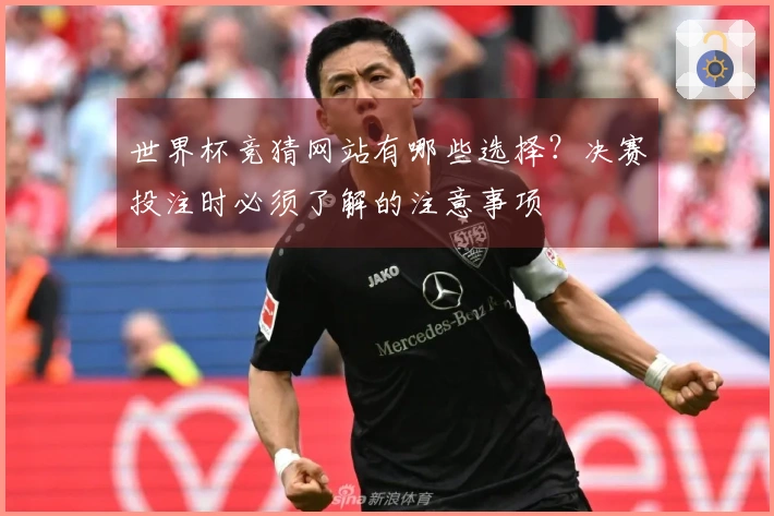 世界杯竞猜网站有哪些选择？决赛投注时必须了解的注意事项