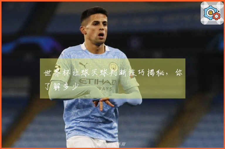 世界杯让球买球判断技巧揭秘，你了解多少