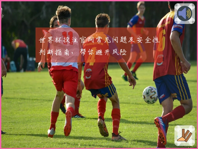 世界杯投注官网常见问题及安全性判断指南，帮你避开风险