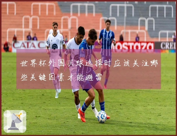 世界杯外围买球选择时应该关注哪些关键因素才能避雷