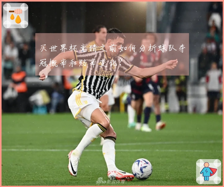 买世界杯竞猜之前如何分析球队夺冠概率和赔率变化？