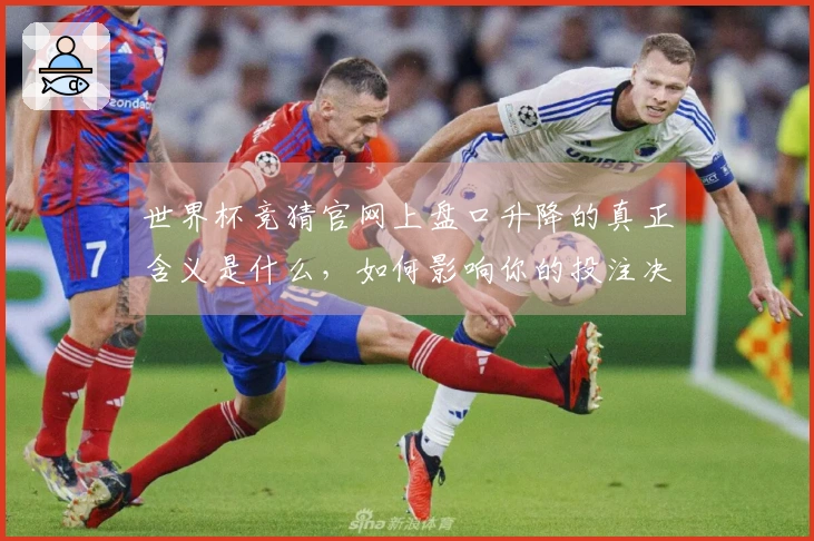 世界杯竞猜官网上盘口升降的真正含义是什么，如何影响你的投注决策？