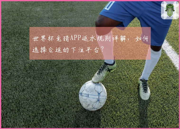 世界杯竞猜APP返水规则详解，如何选择合适的下注平台？