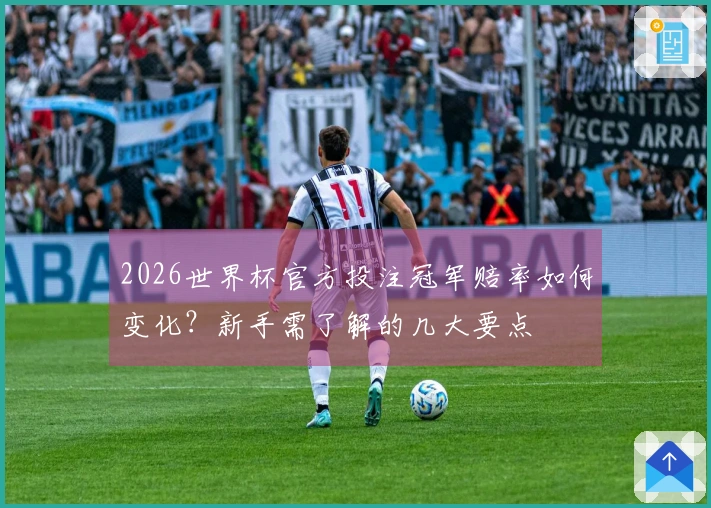2026世界杯官方投注冠军赔率如何变化？新手需了解的几大要点