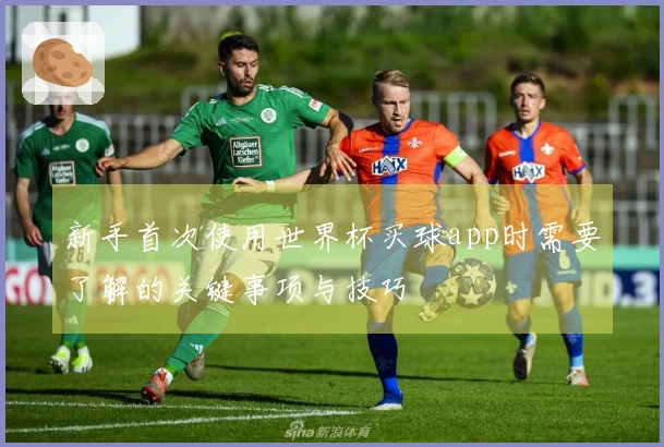 新手首次使用世界杯买球app时需要了解的关键事项与技巧