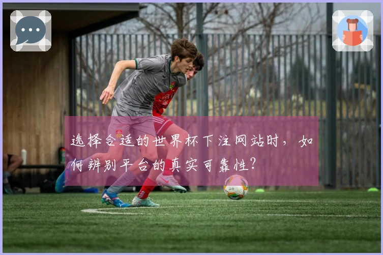 选择合适的世界杯下注网站时，如何辨别平台的真实可靠性？