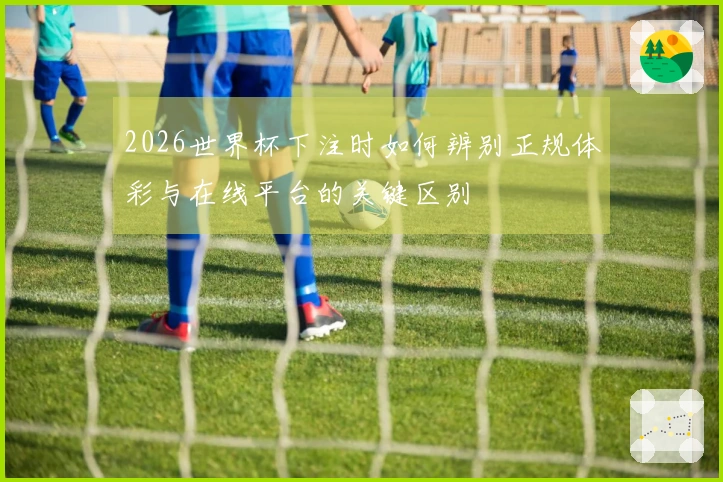 2026世界杯下注时如何辨别正规体彩与在线平台的关键区别