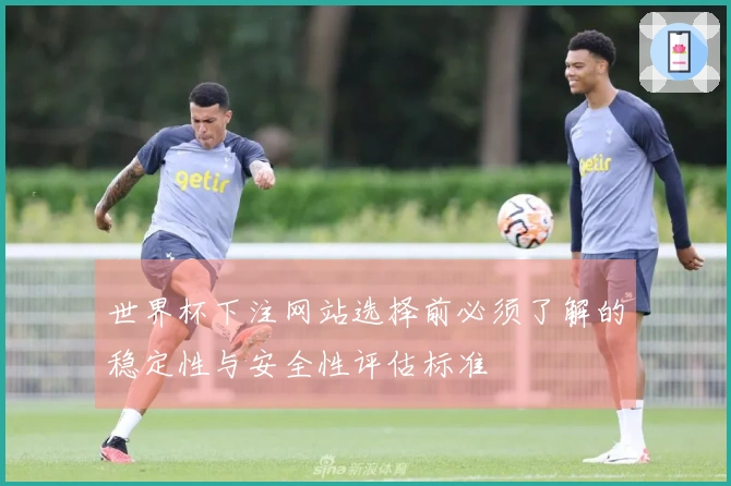 世界杯下注网站选择前必须了解的稳定性与安全性评估标准