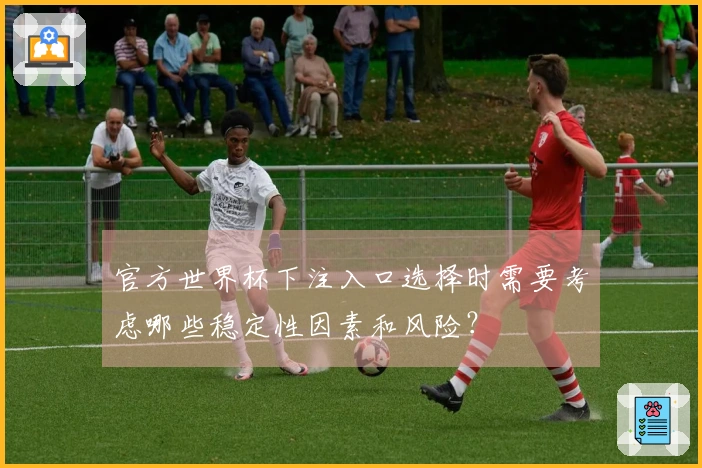 官方世界杯下注入口选择时需要考虑哪些稳定性因素和风险？