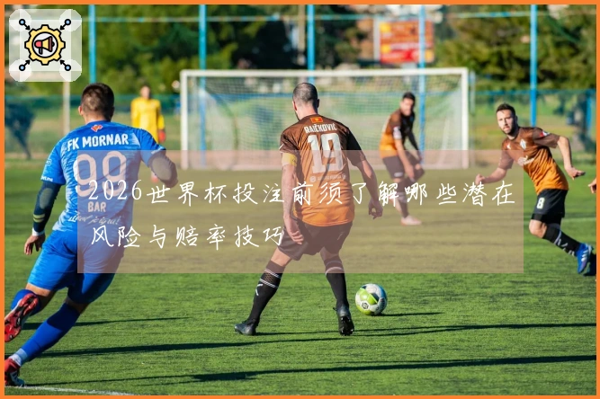 2026世界杯投注前须了解哪些潜在风险与赔率技巧