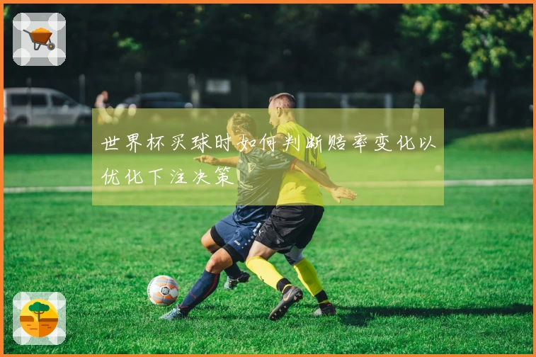 世界杯买球时如何判断赔率变化以优化下注决策