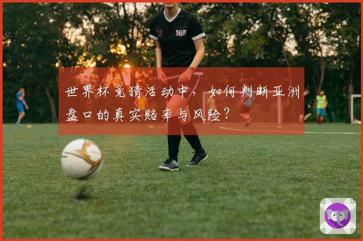 世界杯竞猜活动中，如何判断亚洲盘口的真实赔率与风险？
